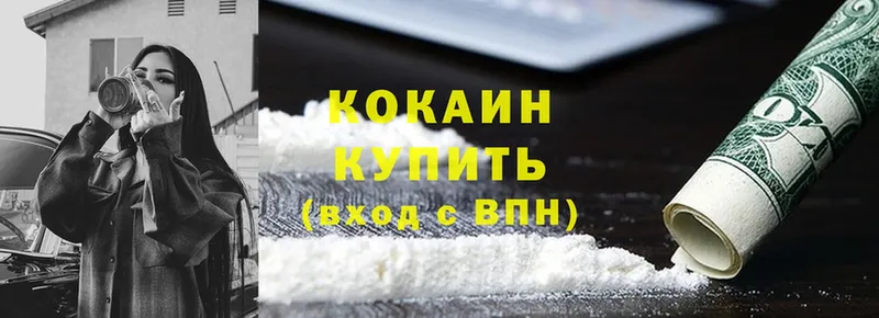 Cocaine FishScale  купить  цена  Великие Луки 